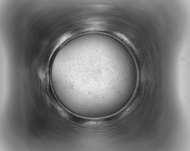 X0000085731274200703160957