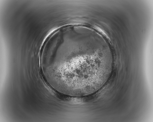 X0000085731275200703160957