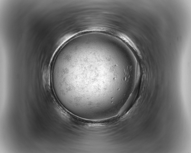 X0000085731276200703160957