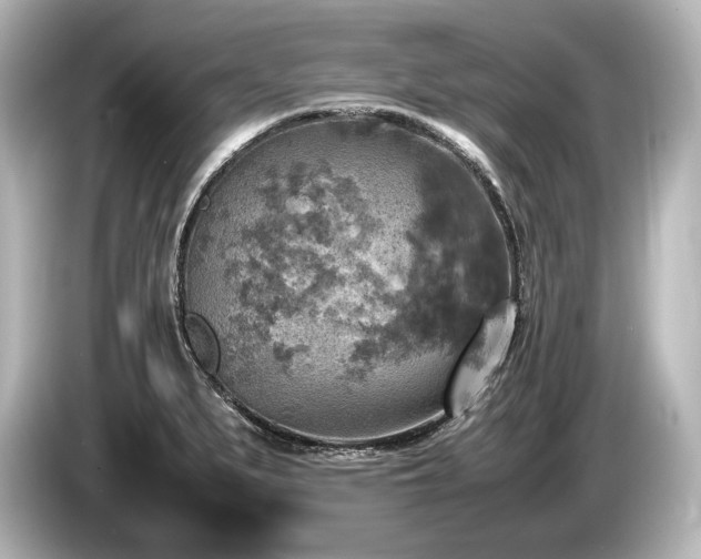 X0000085731279200703160957