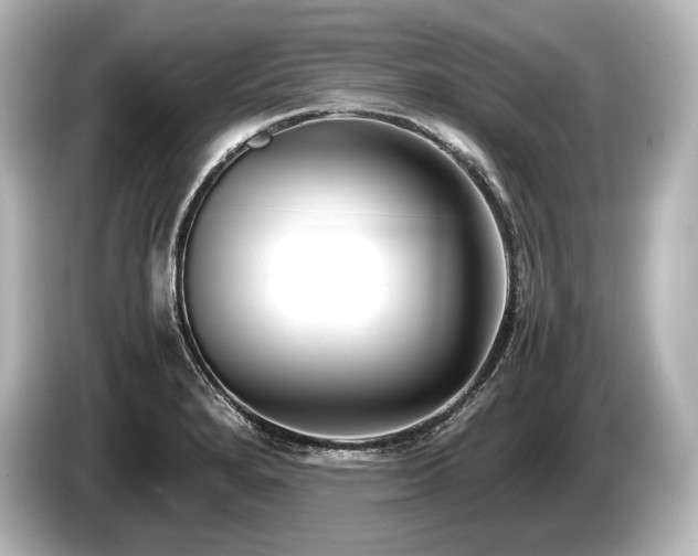 X0000085731280200703160957