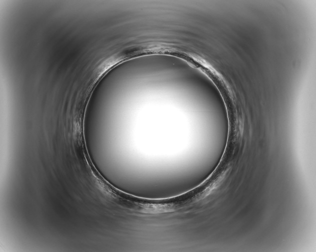 X0000085731281200703160957