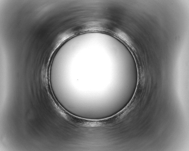 X0000085731282200703160957