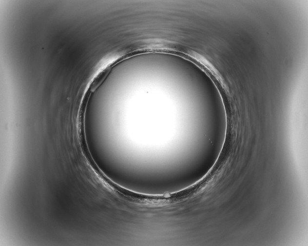 X0000085731285200703160957