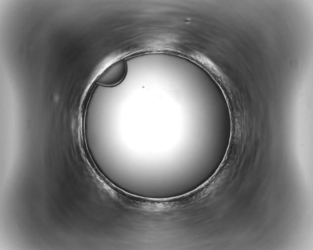 X0000085731286200703160957