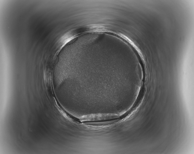 X0000085731289200703160957