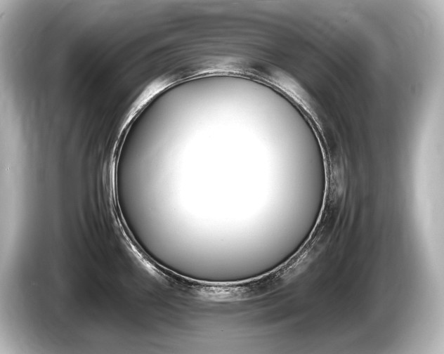 X0000085731290200703160956