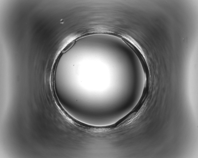 X0000085731293200703160956