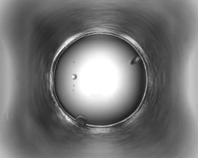 X0000085731294200703160956