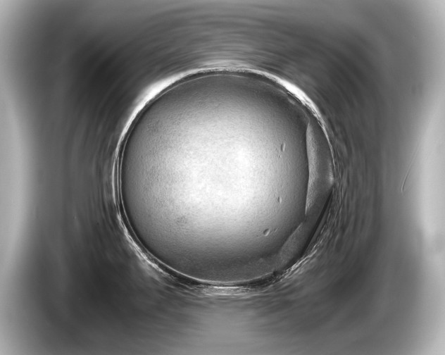 X0000085731295200703160956