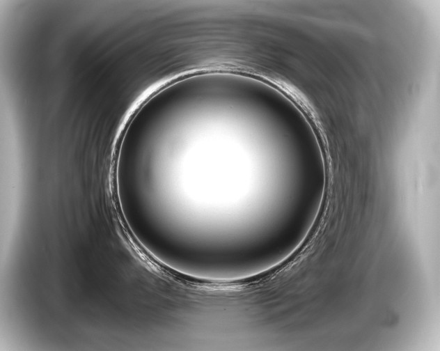 X0000085731296200703160956