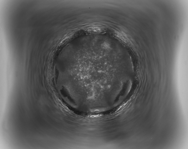 X0000085731297200703160956