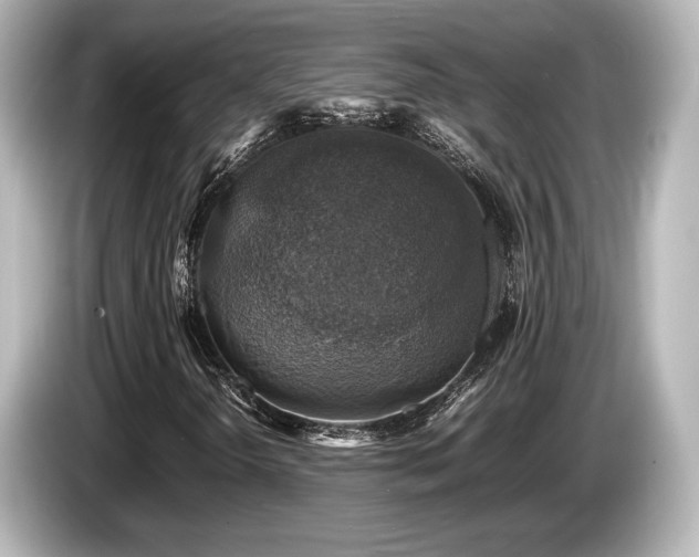 X0000085731298200703160956