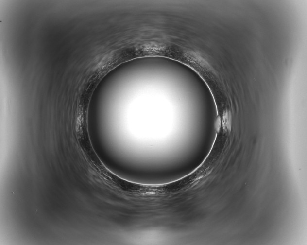 X0000085731299200703160956