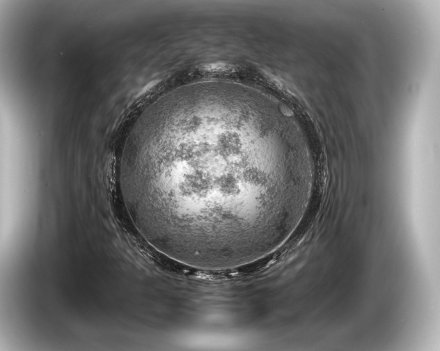 X0000085731301200703160956