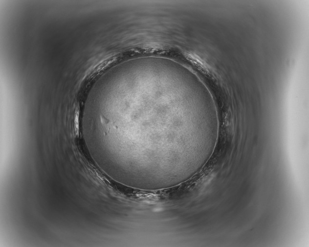 X0000085731302200703160956