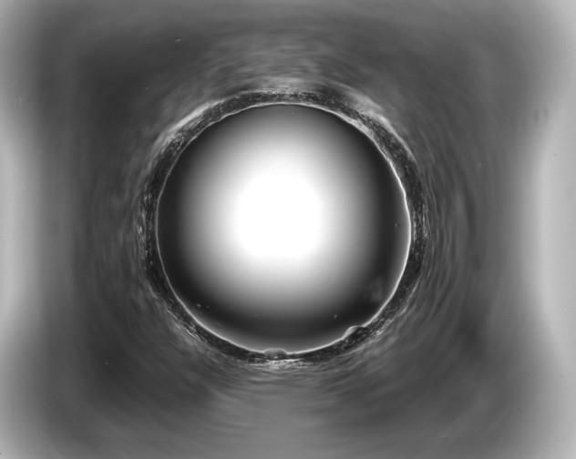 X0000085731304200703160956