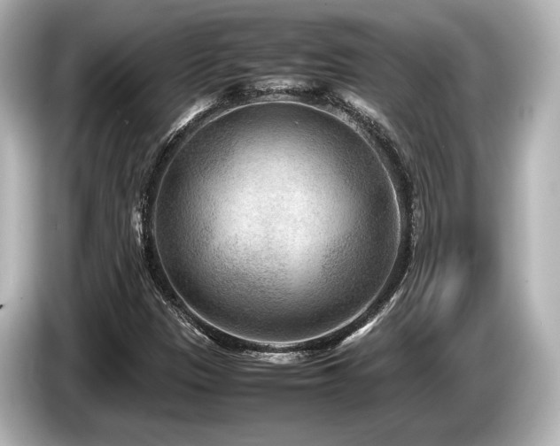 X0000085731305200703160956