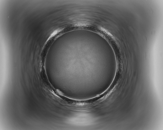 X0000085731306200703160956