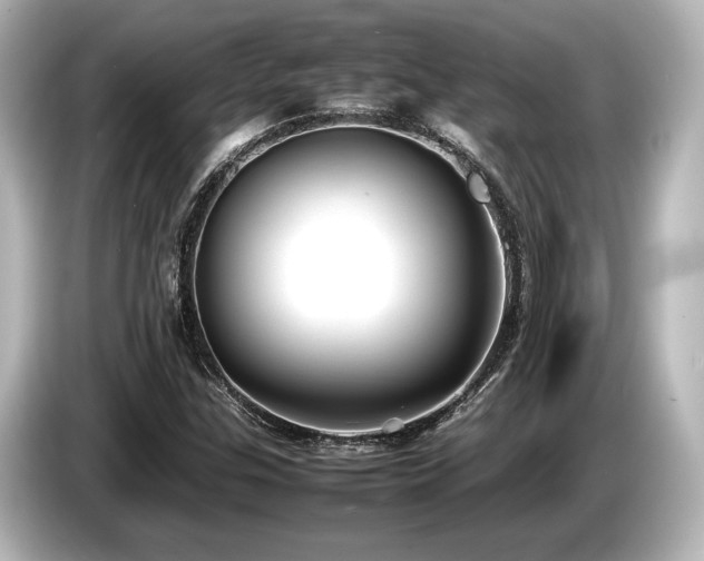 X0000085731307200703160956