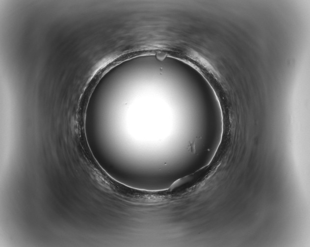 X0000085731308200703160956