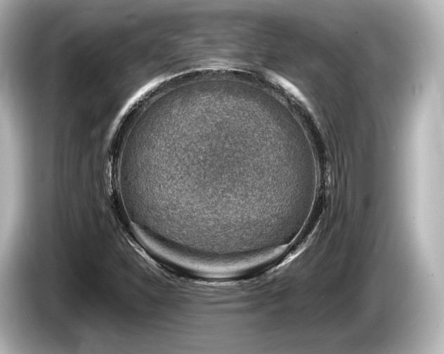 X0000085731310200703160956