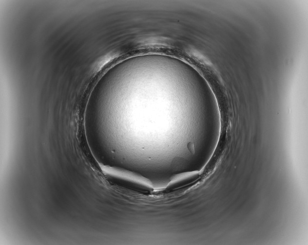 X0000085731313200703160956