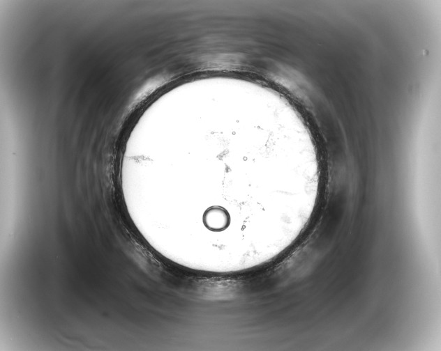 X0000085731314200703160956