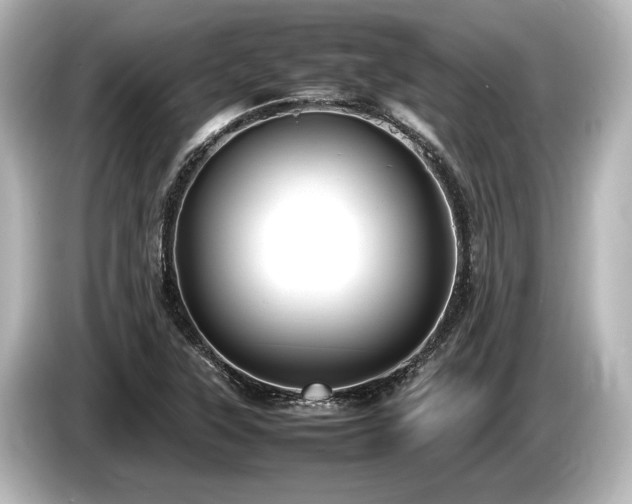 X0000085731315200703160956