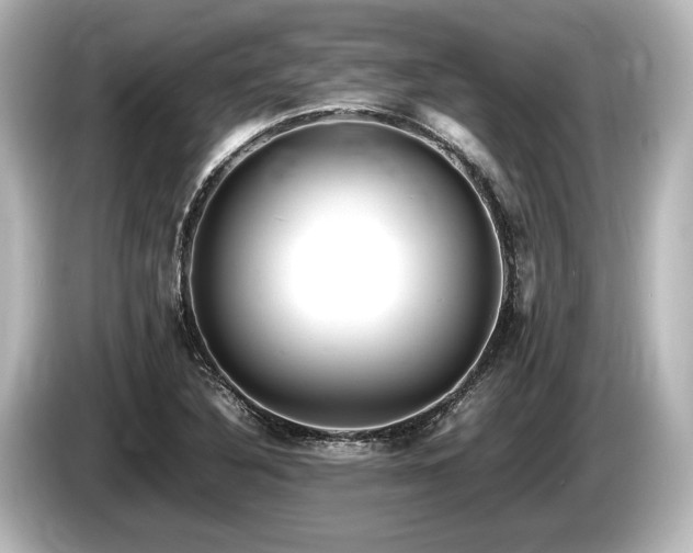 X0000085731316200703160956