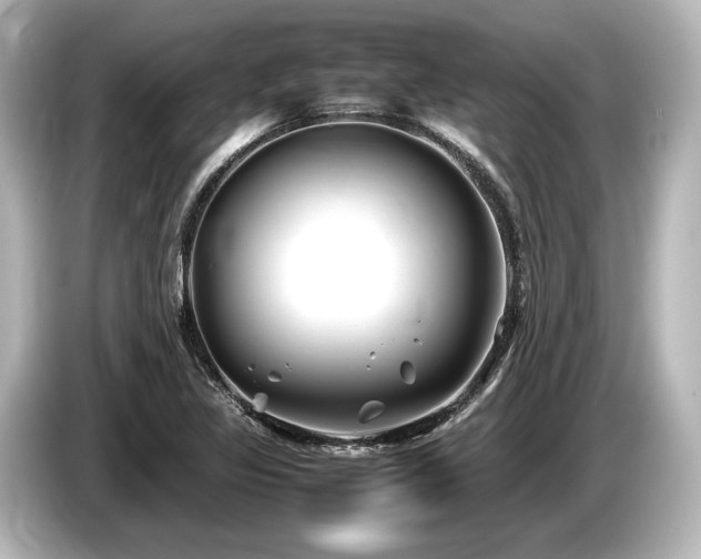 X0000085731317200703160956