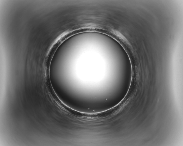 X0000085731318200703160956