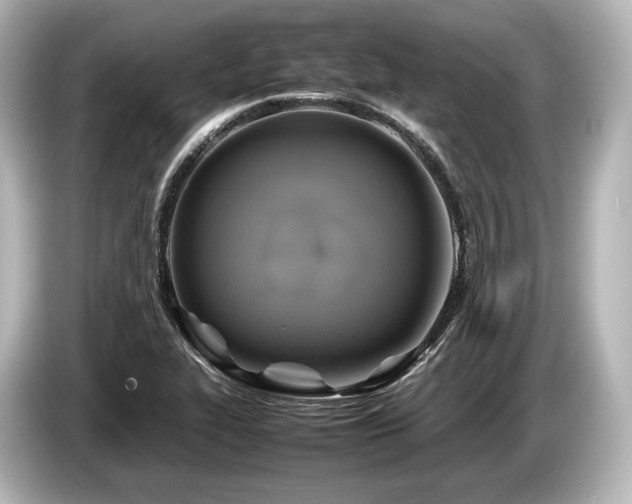 X0000085731319200703160956