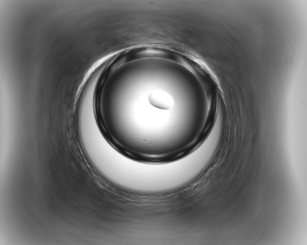 X0000085731320200703160956