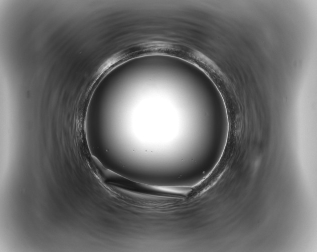 X0000085731321200703160956