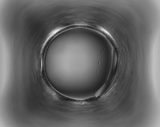 X0000085731323200703160956