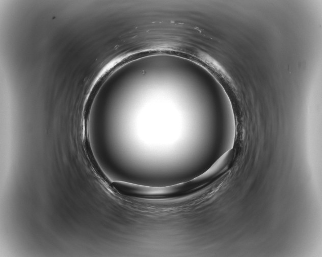 X0000085731324200703160956