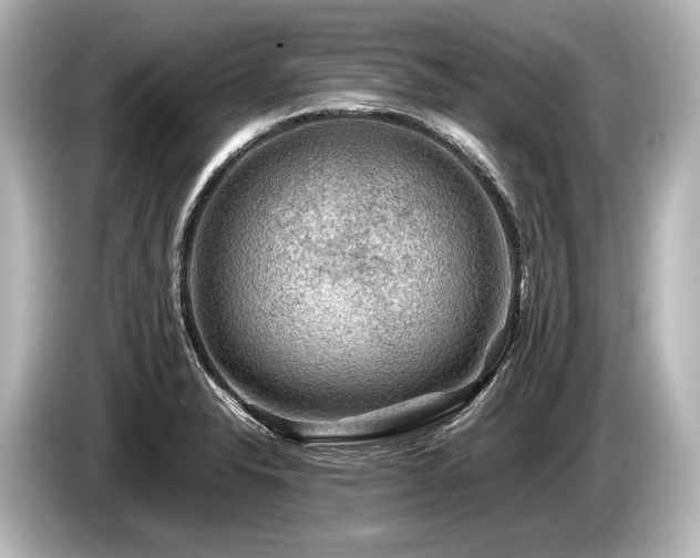 X0000085731326200703160956