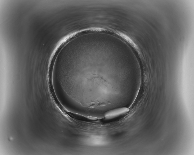 X0000085731327200703160956