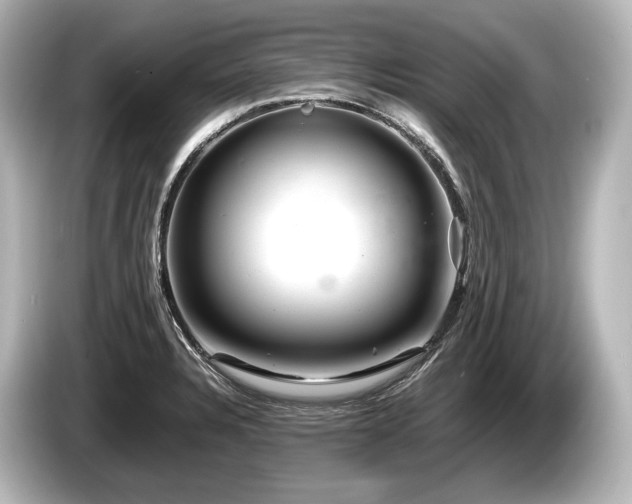 X0000085731328200703160956