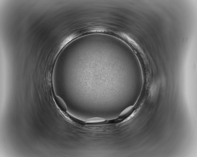 X0000085731329200703160956