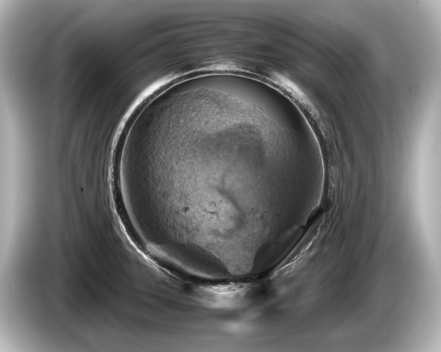 X0000085731331200703160956