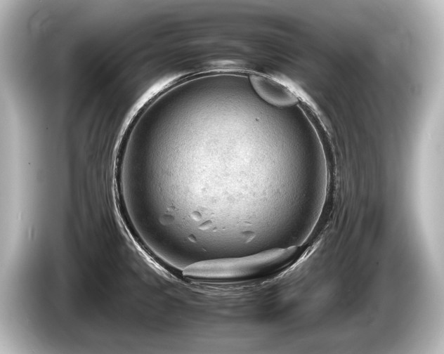 X0000085731333200703160956