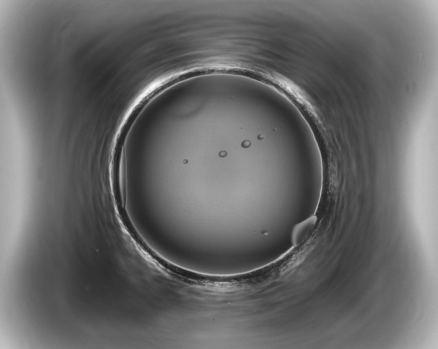 X0000085731334200703160956