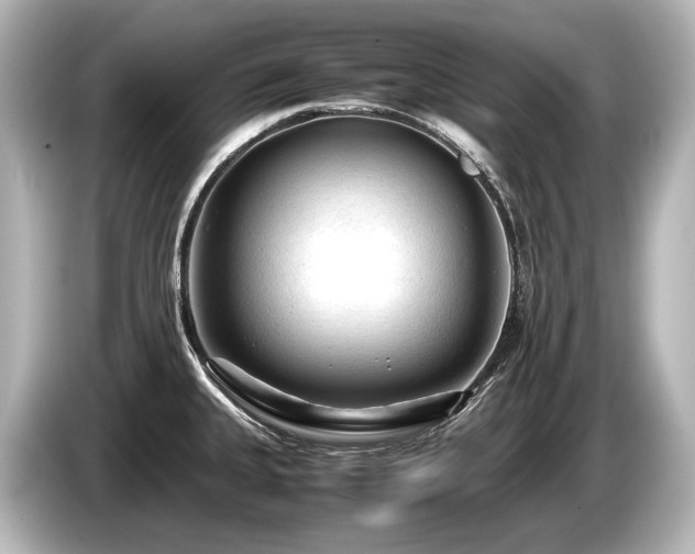 X0000085731335200703160956