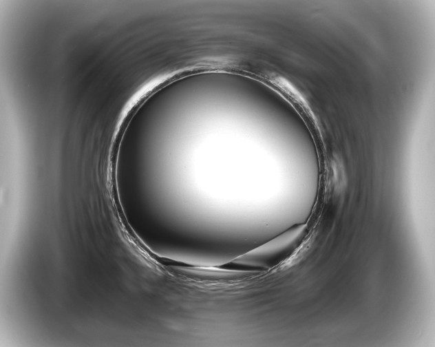 X0000085731336200703160956