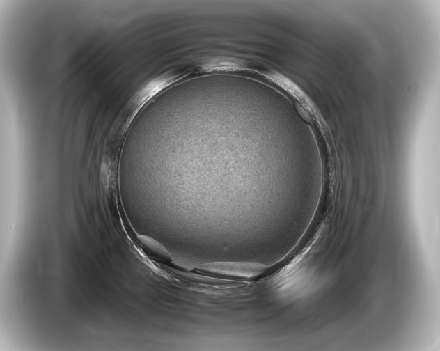 X0000085731337200703160956