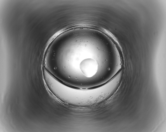 X0000085731338200703160956