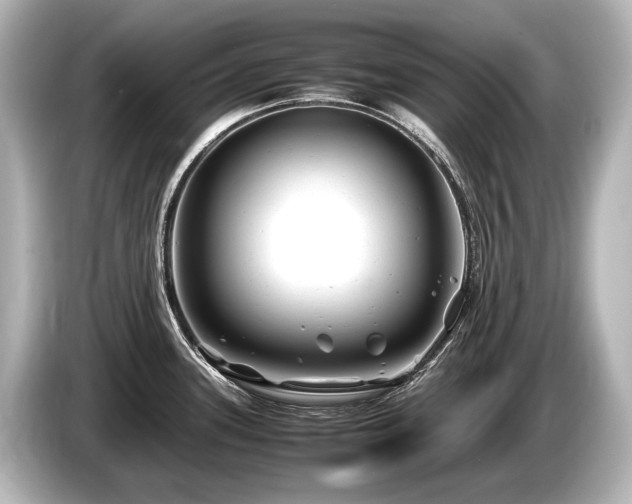 X0000085731339200703160956