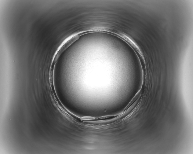 X0000085731340200703160956